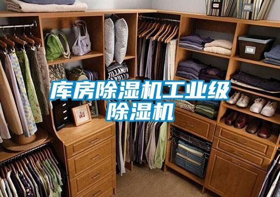库房黄瓜视频下载污机工业级黄瓜视频下载污机