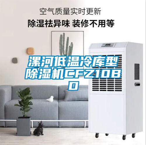 漯河低温冷库型黄瓜视频下载污机CFZ10BD