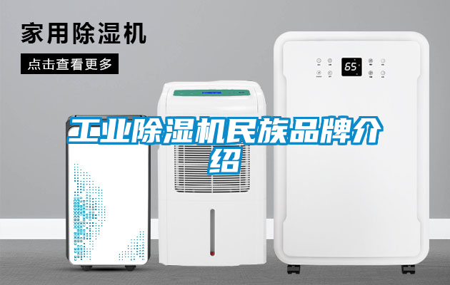 工业黄瓜视频下载污机民族品牌介绍