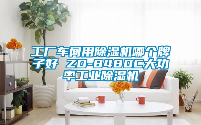 工厂车间用黄瓜视频下载污机哪个牌子好 ZD-8480C大功率工业黄瓜视频下载污机