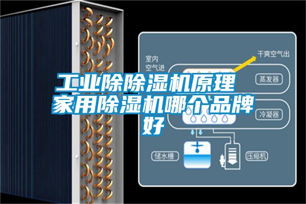 工业除黄瓜视频下载污机原理 家用黄瓜视频下载污机哪个品牌好