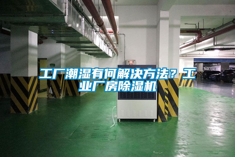 工厂潮湿有何解决方法？工业厂房黄瓜视频下载污机