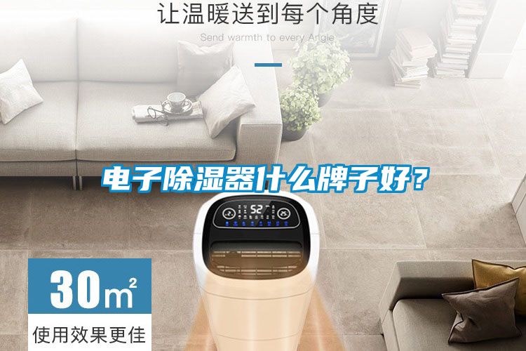 电子黄瓜视频下载污器什么牌子好？