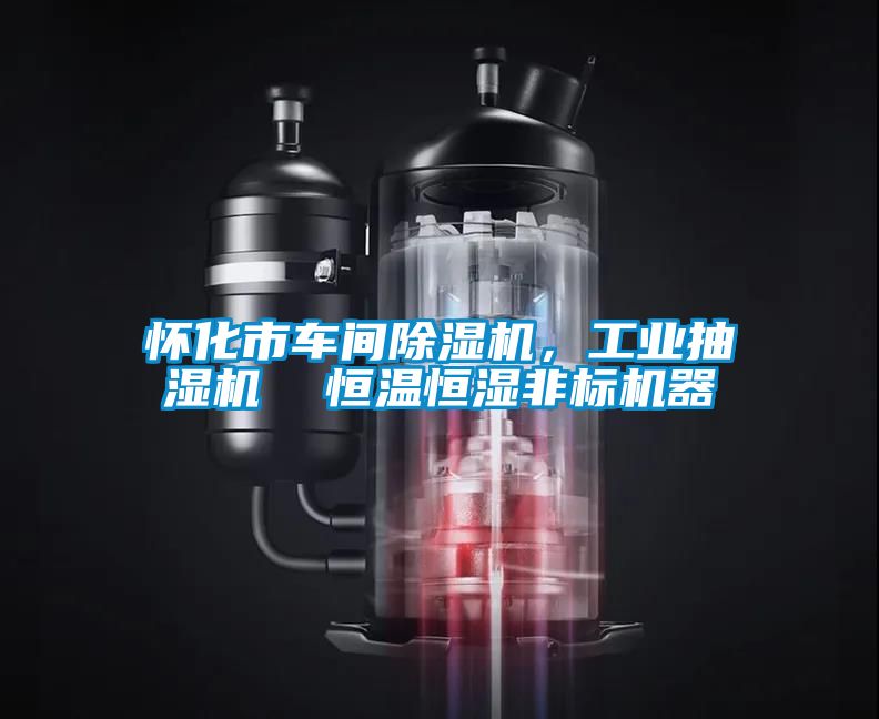 怀化市车间黄瓜视频下载污机，工业抽湿机  恒温恒湿非标机器