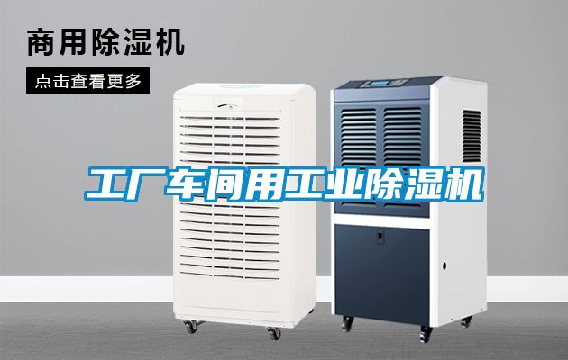 工厂车间用工业黄瓜视频下载污机