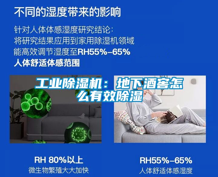 工业黄瓜视频下载污机：地下酒窖怎么有效黄瓜视频下载污