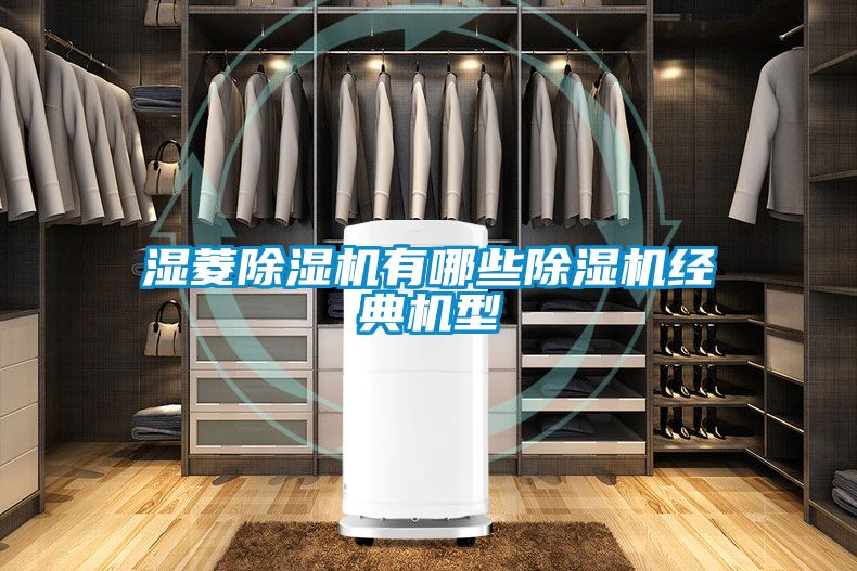 湿菱黄瓜视频下载污机有哪些黄瓜视频下载污机经典机型