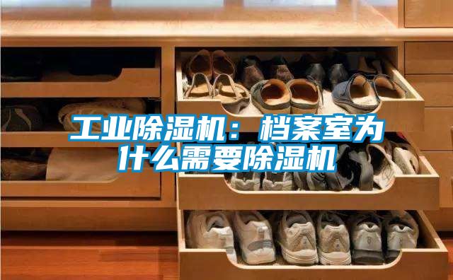 工业黄瓜视频下载污机：档案室为什么需要黄瓜视频下载污机