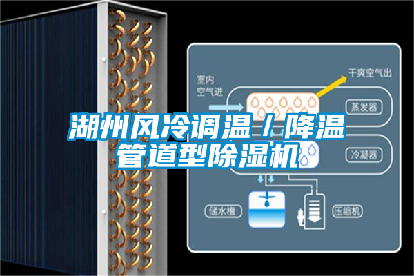湖州风冷调温／降温管道型黄瓜视频下载污机
