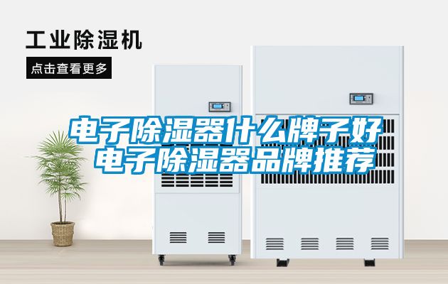电子黄瓜视频下载污器什么牌子好 电子黄瓜视频下载污器品牌推荐