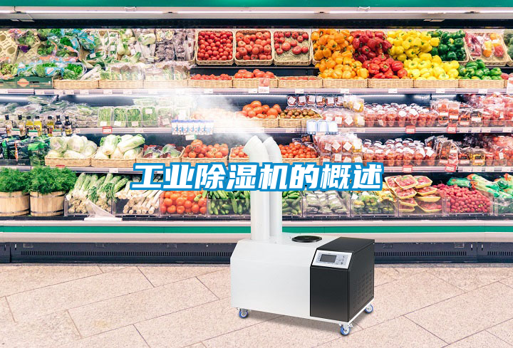 工业黄瓜视频下载污机的概述