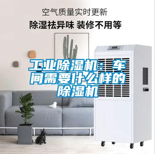 工业黄瓜视频下载污机：车间需要什么样的黄瓜视频下载污机