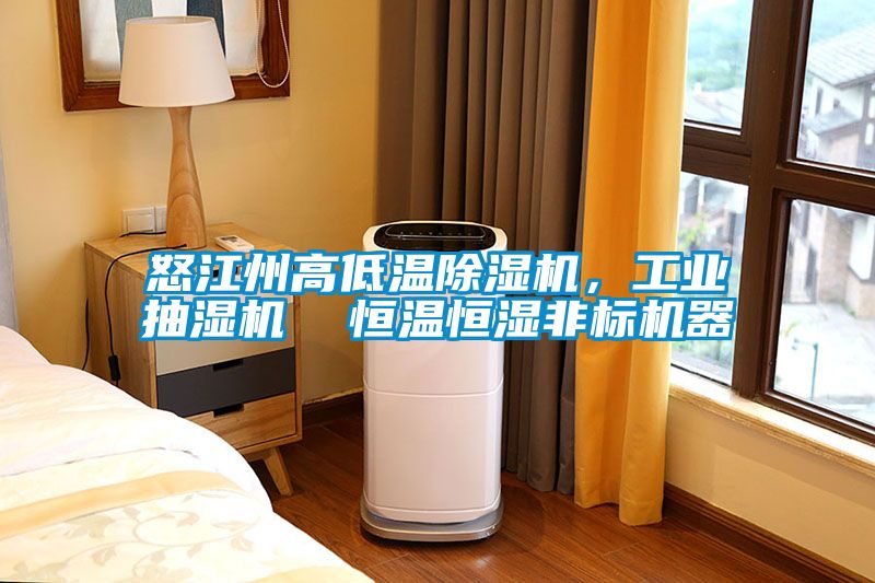 怒江州高低温黄瓜视频下载污机，工业抽湿机  恒温恒湿非标机器