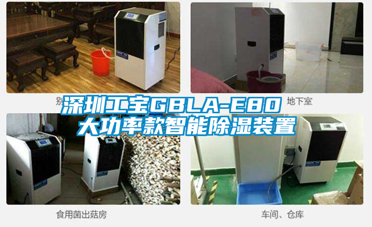 深圳工宝GBLA-E80  大功率款智能黄瓜视频下载污装置