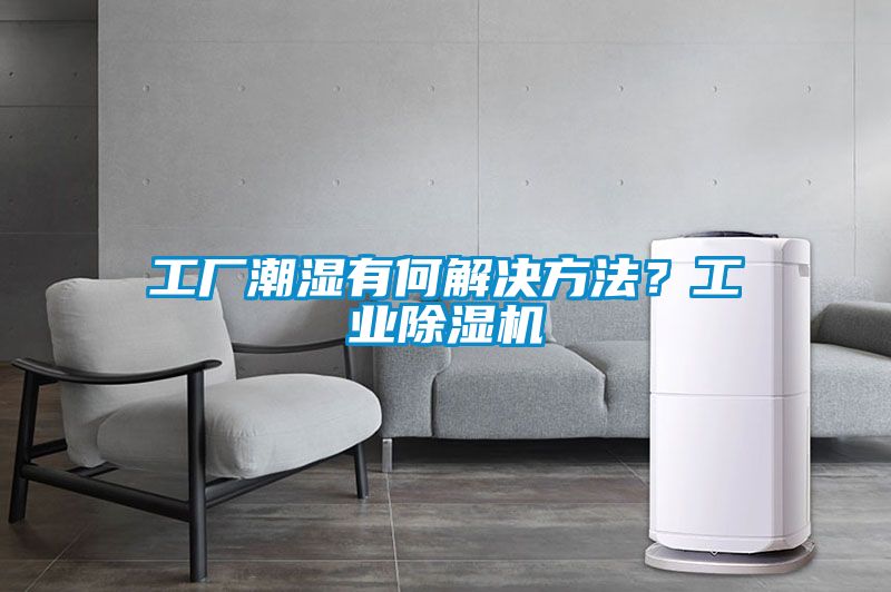 工厂潮湿有何解决方法？工业黄瓜视频下载污机
