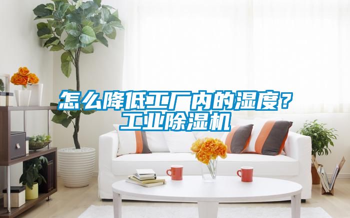 怎么降低工厂内的湿度？工业黄瓜视频下载污机