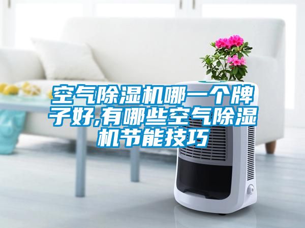 空气黄瓜视频下载污机哪一个牌子好,有哪些空气黄瓜视频下载污机节能技巧