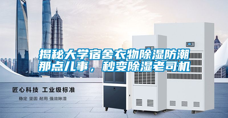 揭秘大学宿舍衣物黄瓜视频下载污防潮那点儿事，秒变黄瓜视频下载污老司机