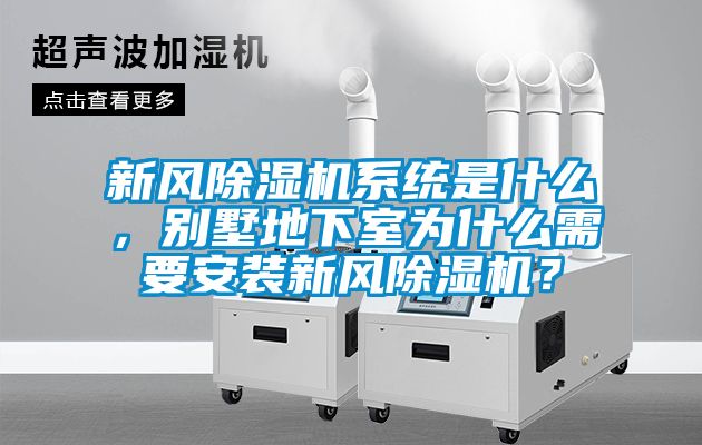 新风黄瓜视频下载污机系统是什么，别墅地下室为什么需要安装新风黄瓜视频下载污机？