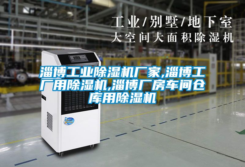淄博工业黄瓜视频下载污机厂家,淄博工厂用黄瓜视频下载污机,淄博厂房车间仓库用黄瓜视频下载污机