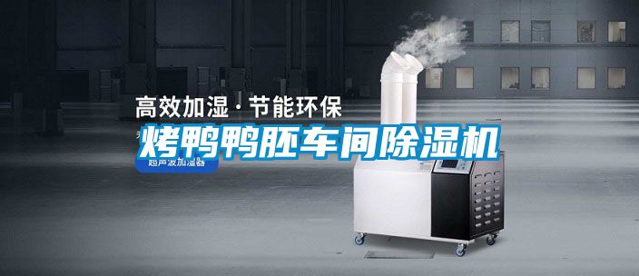 烤鸭鸭胚车间黄瓜视频下载污机