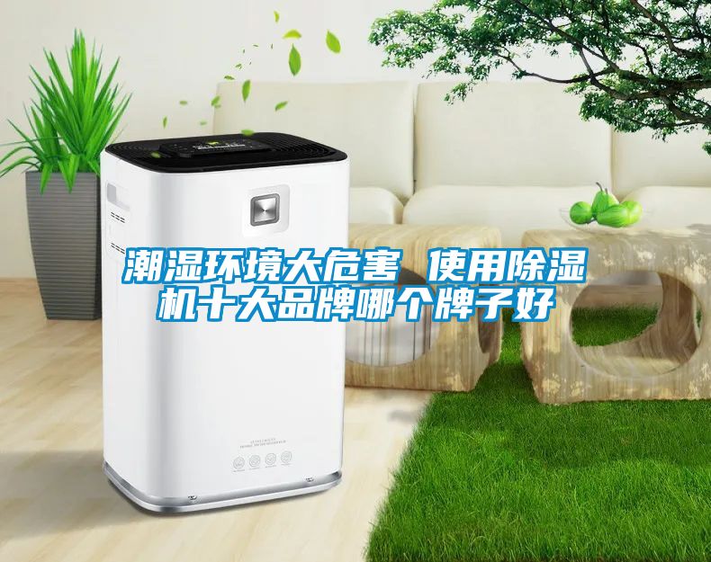 潮湿环境大危害 使用黄瓜视频下载污机十大品牌哪个牌子好