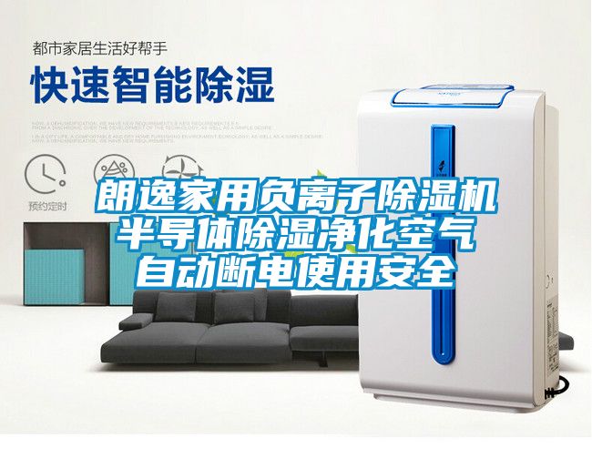 朗逸家用负离子黄瓜视频下载污机 半导体黄瓜视频下载污净化空气 自动断电使用安全