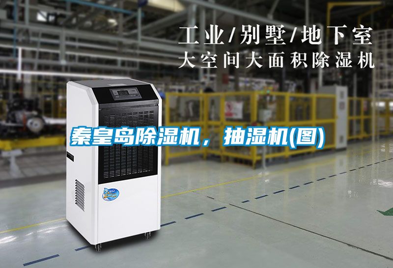 秦皇岛黄瓜视频下载污机，抽湿机(图)