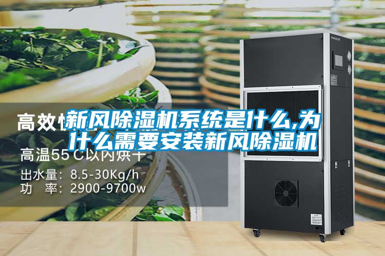 新风黄瓜视频下载污机系统是什么,为什么需要安装新风黄瓜视频下载污机