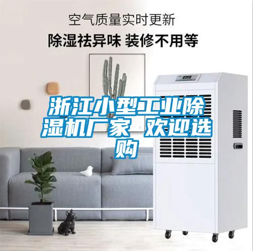 浙江小型工业黄瓜视频下载污机厂家 欢迎选购