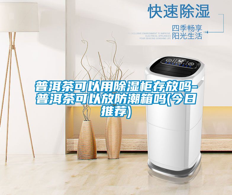 普洱茶可以用黄瓜视频下载污柜存放吗-普洱茶可以放防潮箱吗(今日推荐)