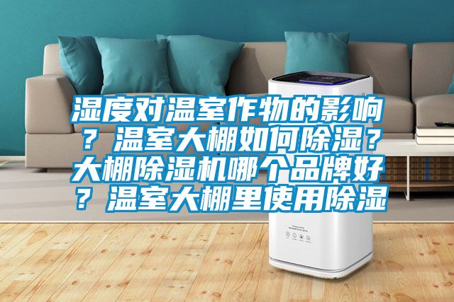 湿度对温室作物的影响？温室大棚如何黄瓜视频下载污？大棚黄瓜视频下载污机哪个品牌好？温室大棚里使用黄瓜视频下载污