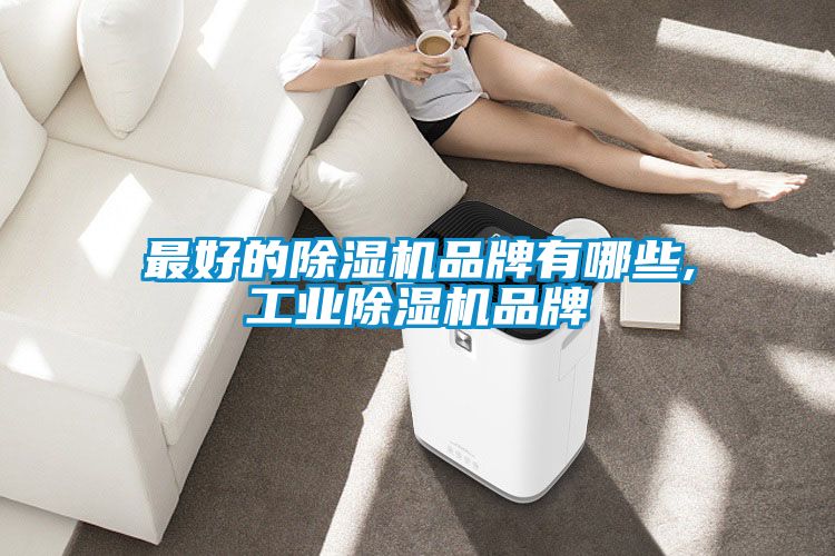 最好的黄瓜视频下载污机品牌有哪些,工业黄瓜视频下载污机品牌