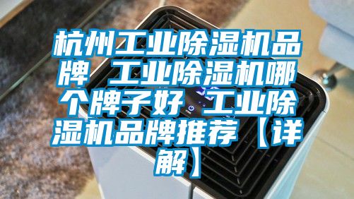 杭州工业黄瓜视频下载污机品牌 工业黄瓜视频下载污机哪个牌子好 工业黄瓜视频下载污机品牌推荐【详解】