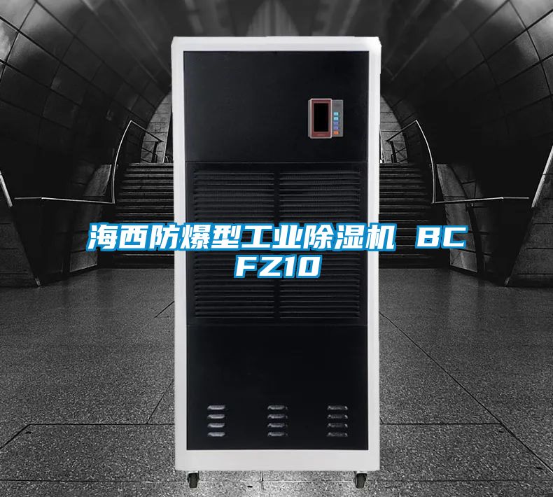海西防爆型工业黄瓜视频下载污机 BCFZ10