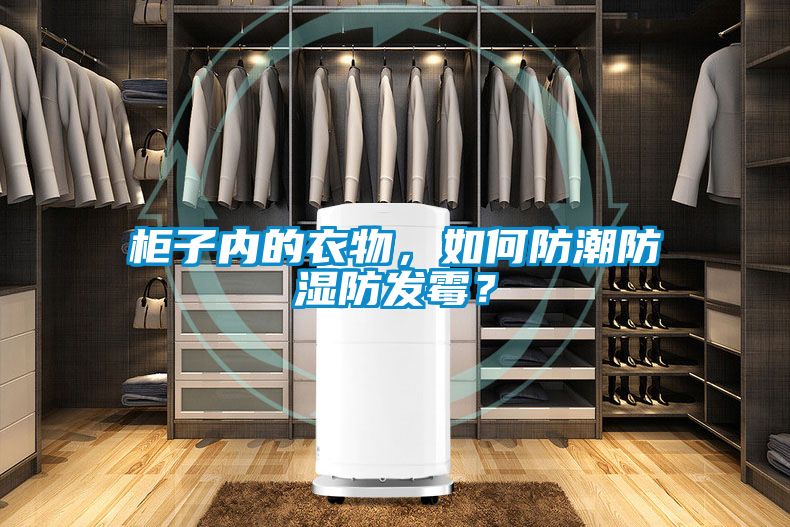 柜子内的衣物，如何防潮防湿防发霉？