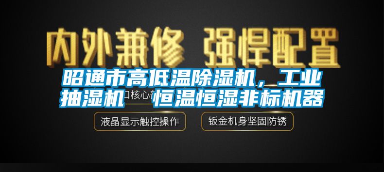 昭通市高低温黄瓜视频下载污机，工业抽湿机  恒温恒湿非标机器