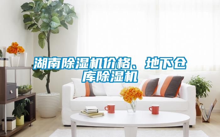 湖南黄瓜视频下载污机价格、地下仓库黄瓜视频下载污机