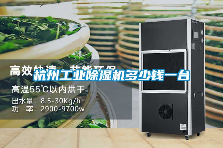 杭州工业黄瓜视频下载污机多少钱一台