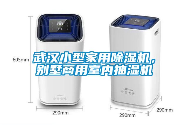武汉小型家用黄瓜视频下载污机，别墅商用室内抽湿机