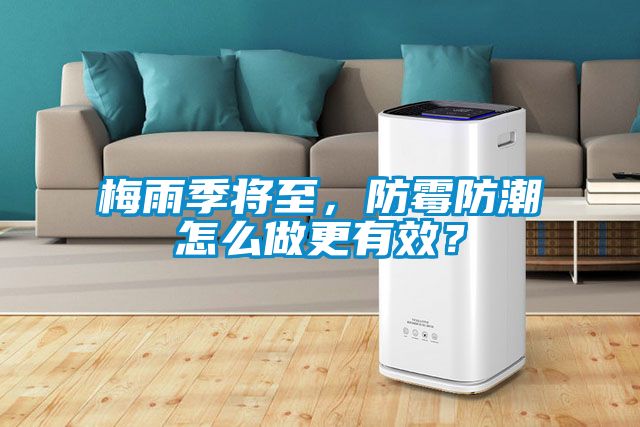 梅雨季将至，防霉防潮怎么做更有效？
