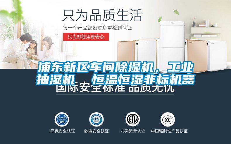 浦东新区车间黄瓜视频下载污机，工业抽湿机  恒温恒湿非标机器