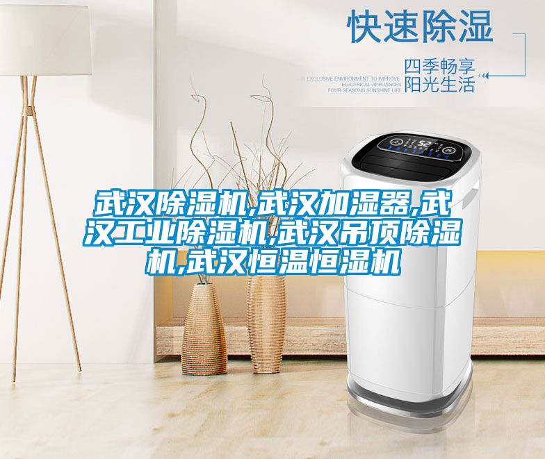 武汉黄瓜视频下载污机,武汉加湿器,武汉工业黄瓜视频下载污机,武汉吊顶黄瓜视频下载污机,武汉恒温恒湿机