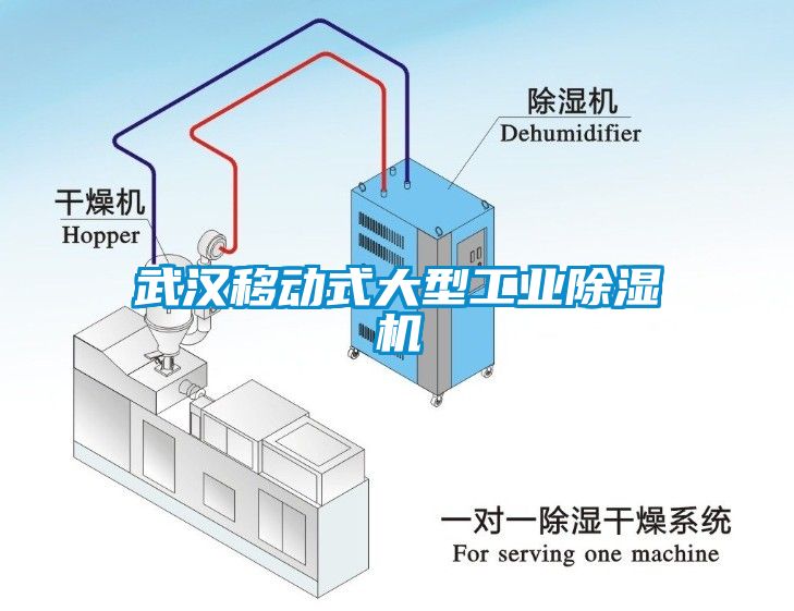 武汉移动式大型工业黄瓜视频下载污机