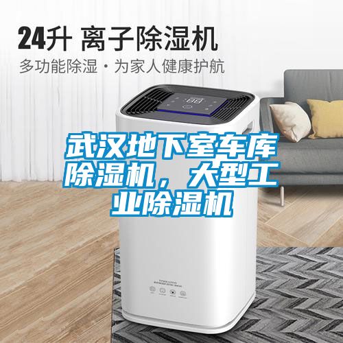 武汉地下室车库黄瓜视频下载污机，大型工业黄瓜视频下载污机