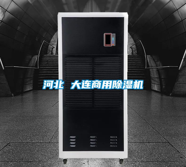 河北 大连商用黄瓜视频下载污机