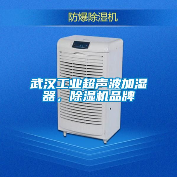 武汉工业超声波加湿器，黄瓜视频下载污机品牌