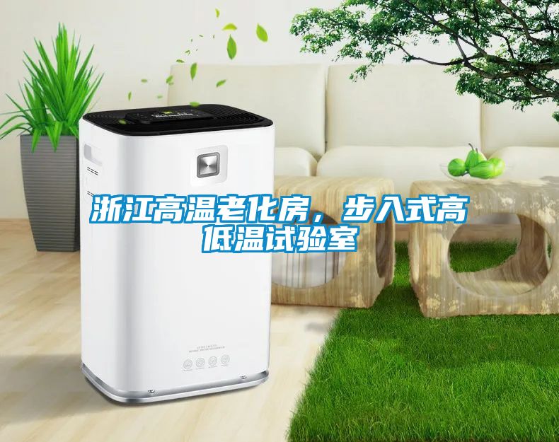浙江高温老化房，步入式高低温试验室