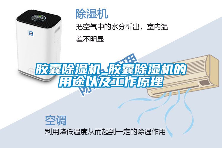 胶囊黄瓜视频下载污机_胶囊黄瓜视频下载污机的用途以及工作原理