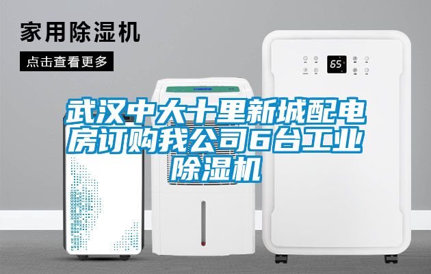 武汉中大十里新城配电房订购我公司6台工业黄瓜视频下载污机